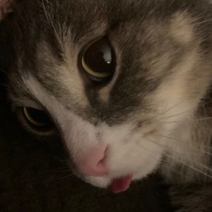 Meet your Posher, Johannah